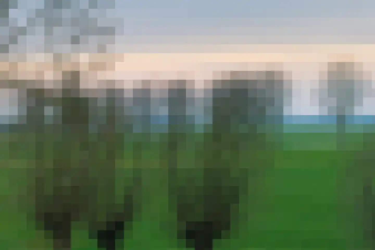 Beeckendael 26 's-Hertogenbosch thumbnail 15