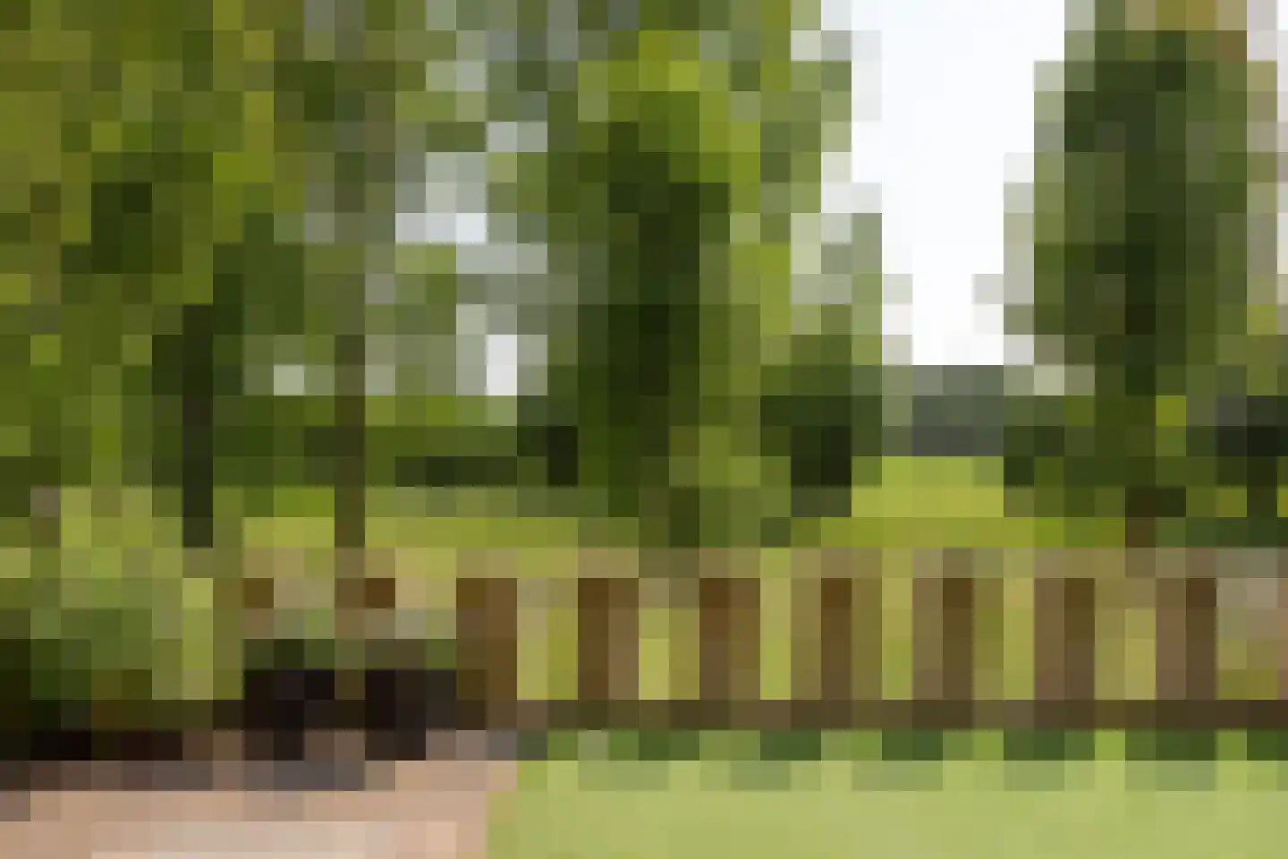 Beeckendael 26 's-Hertogenbosch thumbnail 16