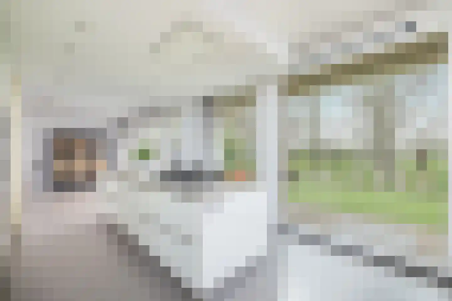 Beeckendael 26 's-Hertogenbosch thumbnail 8