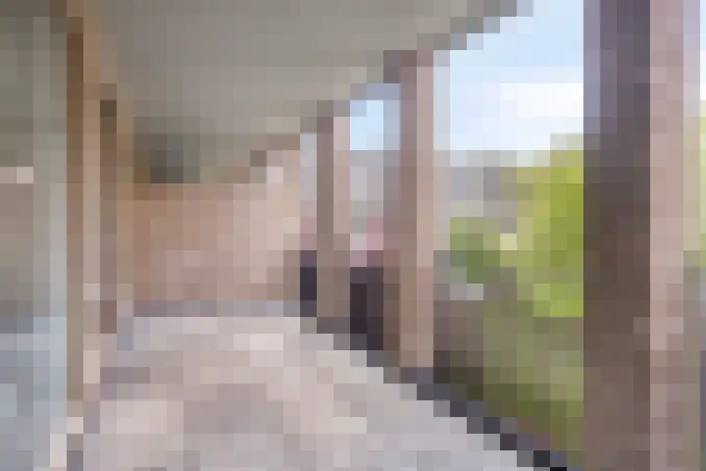 Beeckendael 35 's-Hertogenbosch thumbnail 4