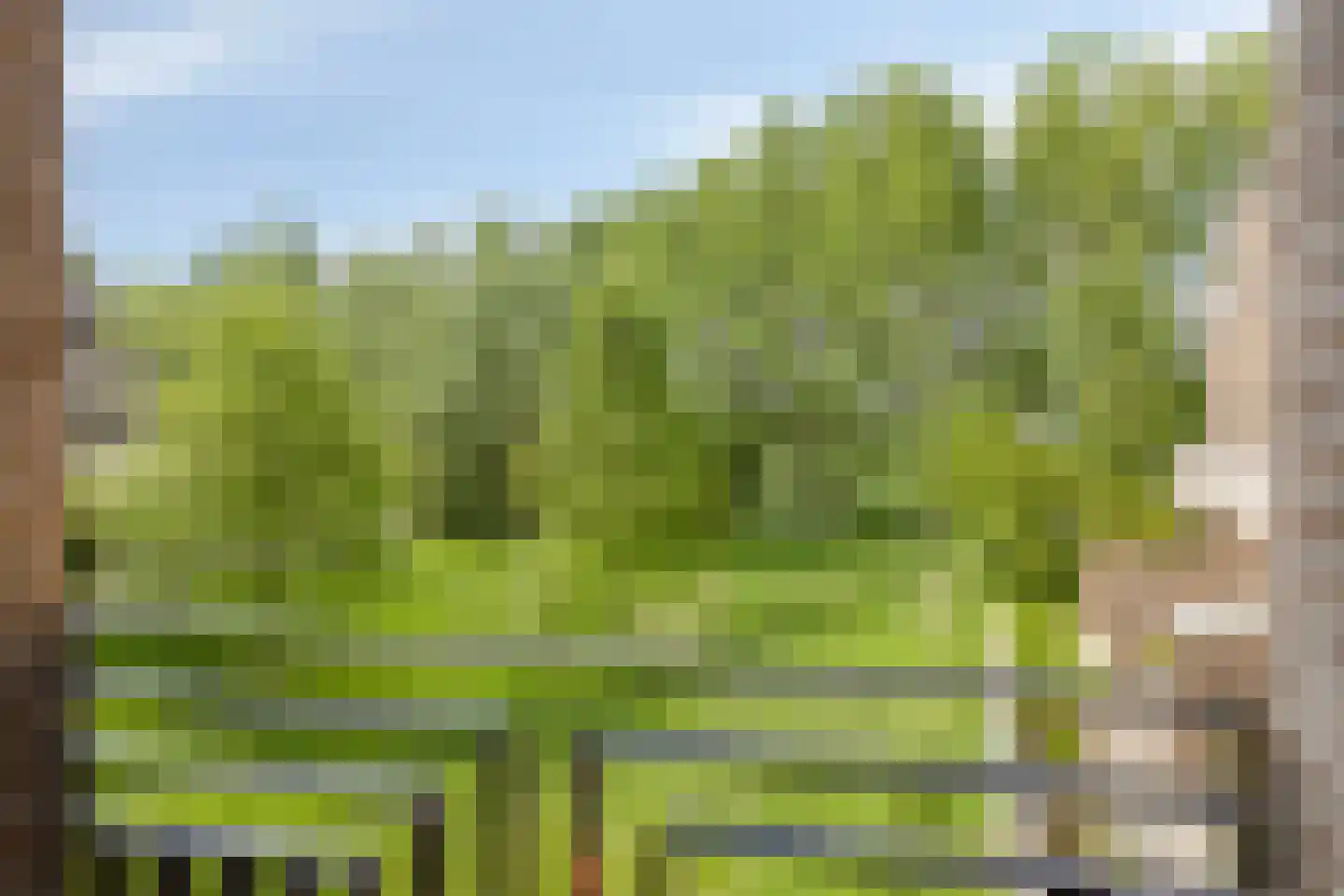 Beeckendael 35 's-Hertogenbosch thumbnail 6