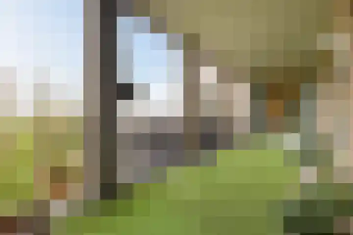 Beeckendael 39 's-Hertogenbosch thumbnail 12