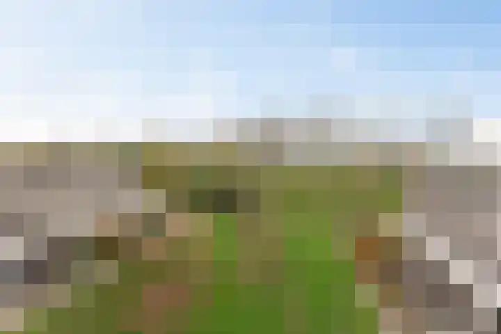 Beeckendael 39 's-Hertogenbosch thumbnail 14