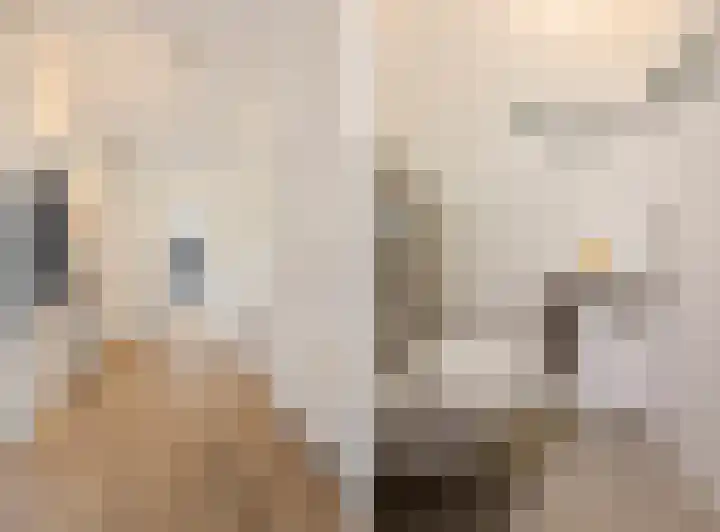 Beeckendael 39 's-Hertogenbosch thumbnail 16