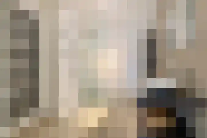 Beeckendael 39 's-Hertogenbosch thumbnail 23