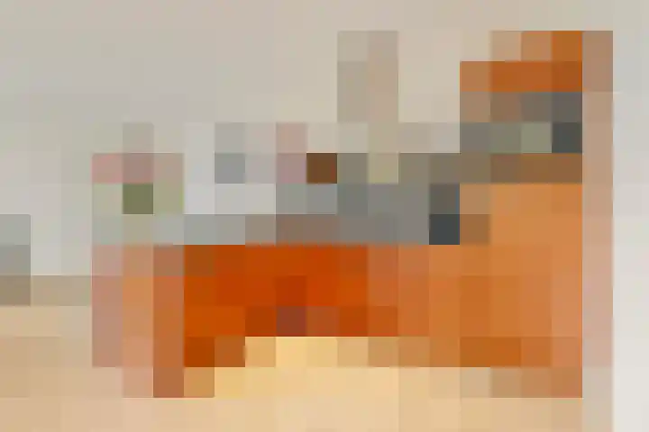 Beeckendael 39 's-Hertogenbosch thumbnail 4