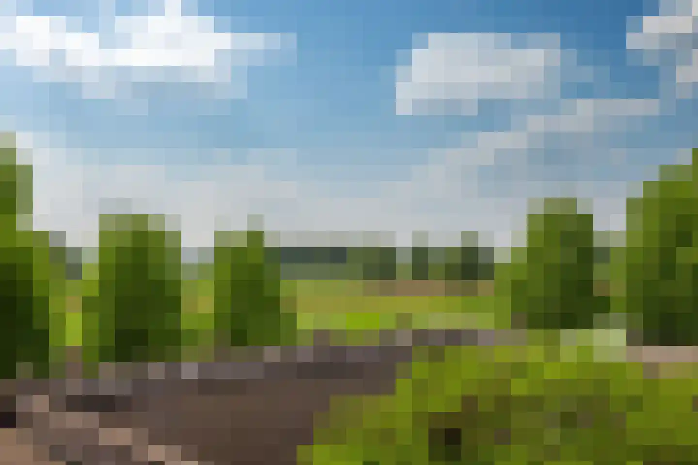 Beeckendael 40 's-Hertogenbosch thumbnail 27