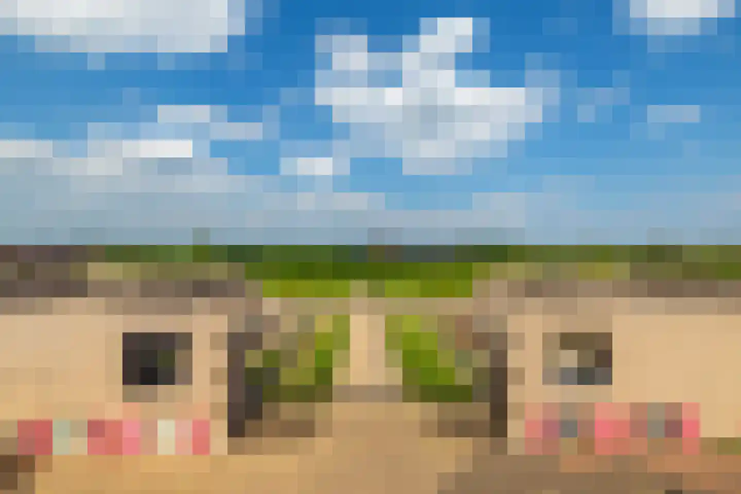 Beeckendael 40 's-Hertogenbosch thumbnail 31