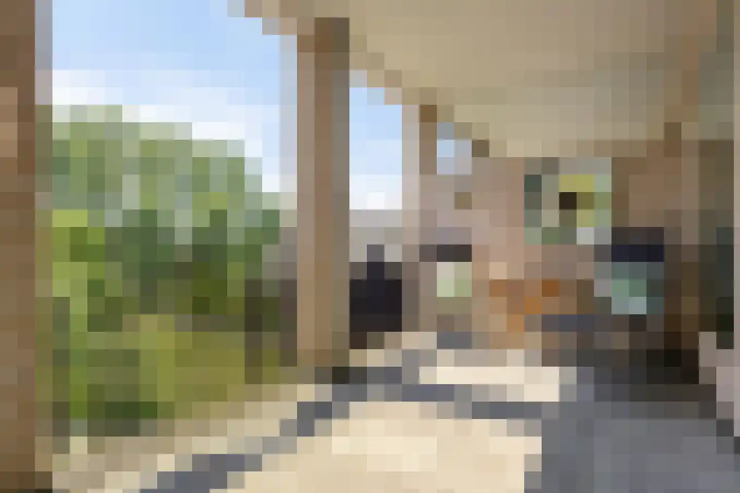 Beeckendael 46 's-Hertogenbosch thumbnail 27