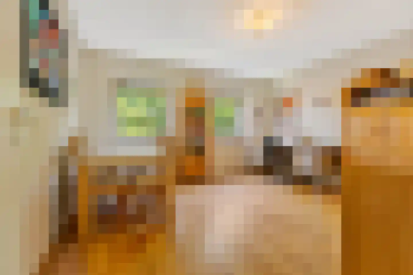 Beeckendael 46 's-Hertogenbosch thumbnail 37