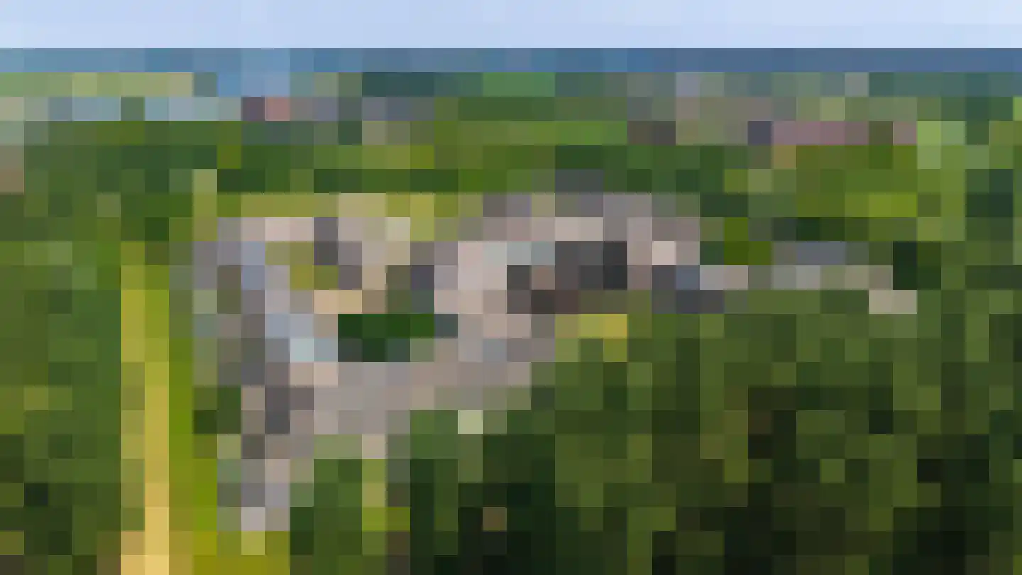 Beeckendael 46 's-Hertogenbosch thumbnail 43