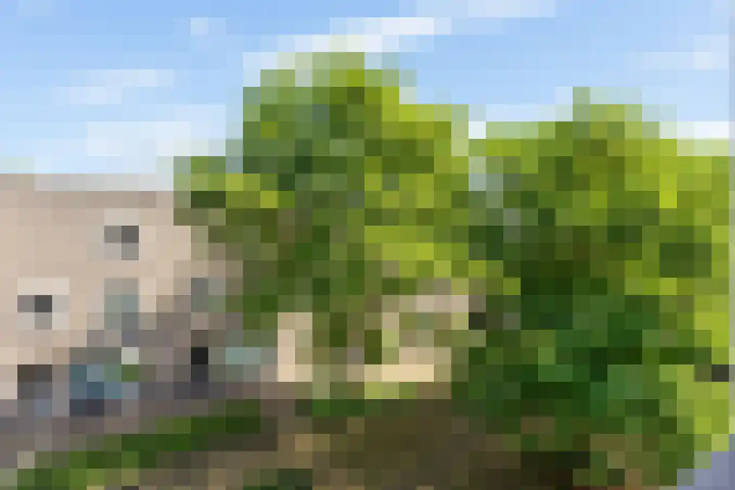 Beeckendael 46 's-Hertogenbosch thumbnail 46