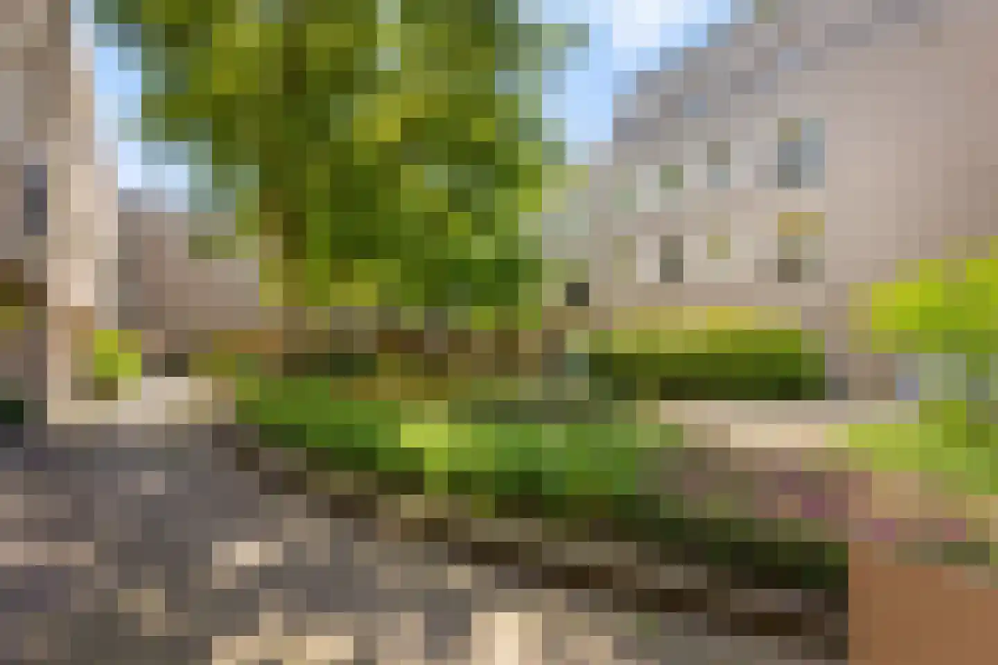 Beeckendael 46 's-Hertogenbosch thumbnail 48