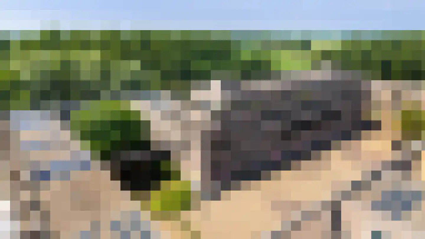 Beeckendael 46 's-Hertogenbosch thumbnail 8