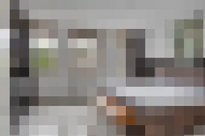 Beeckendael 52 's-Hertogenbosch thumbnail 18