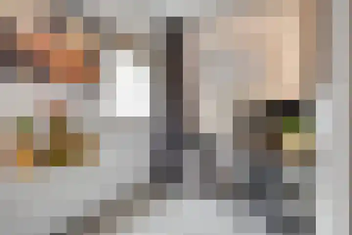 Beeckendael 52 's-Hertogenbosch thumbnail 26