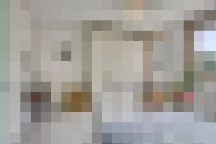 Beeckendael 52 's-Hertogenbosch thumbnail 30