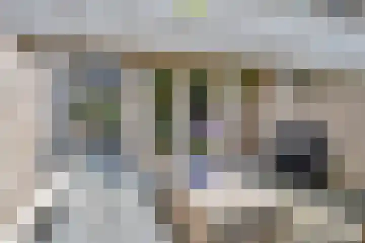Beeckendael 52 's-Hertogenbosch thumbnail 37