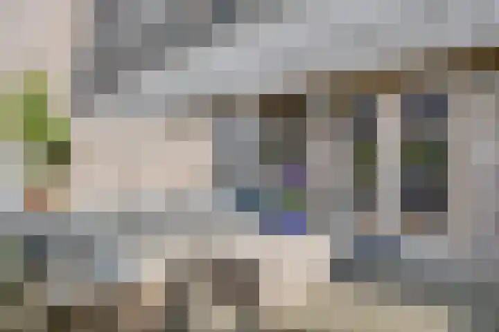 Beeckendael 52 's-Hertogenbosch thumbnail 38