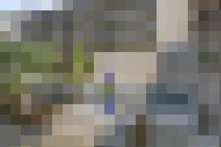 Beeckendael 52 's-Hertogenbosch thumbnail 39