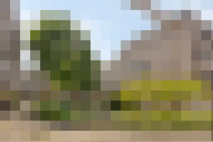 Beeckendael 52 's-Hertogenbosch thumbnail 4