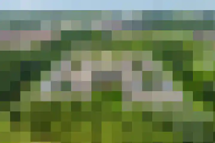 Beeckendael 52 's-Hertogenbosch thumbnail 40