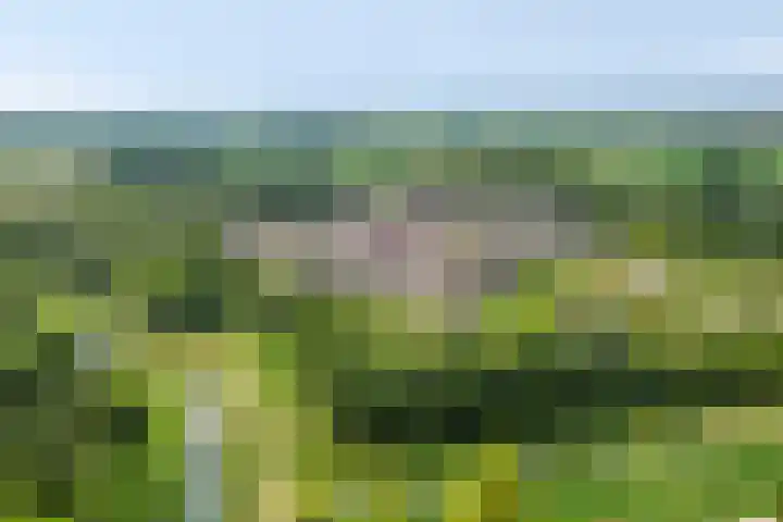 Beeckendael 52 's-Hertogenbosch thumbnail 42