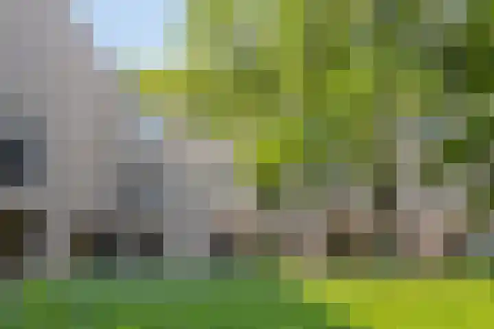 Beeckendael 52 's-Hertogenbosch thumbnail 47