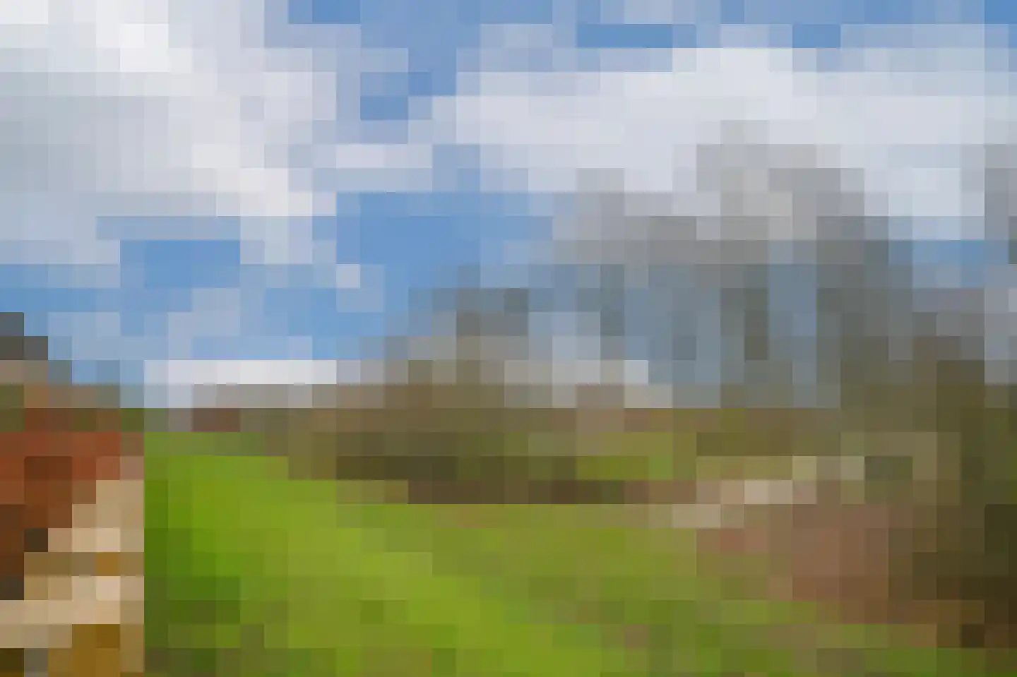Beeckendael 58 's-Hertogenbosch thumbnail 17