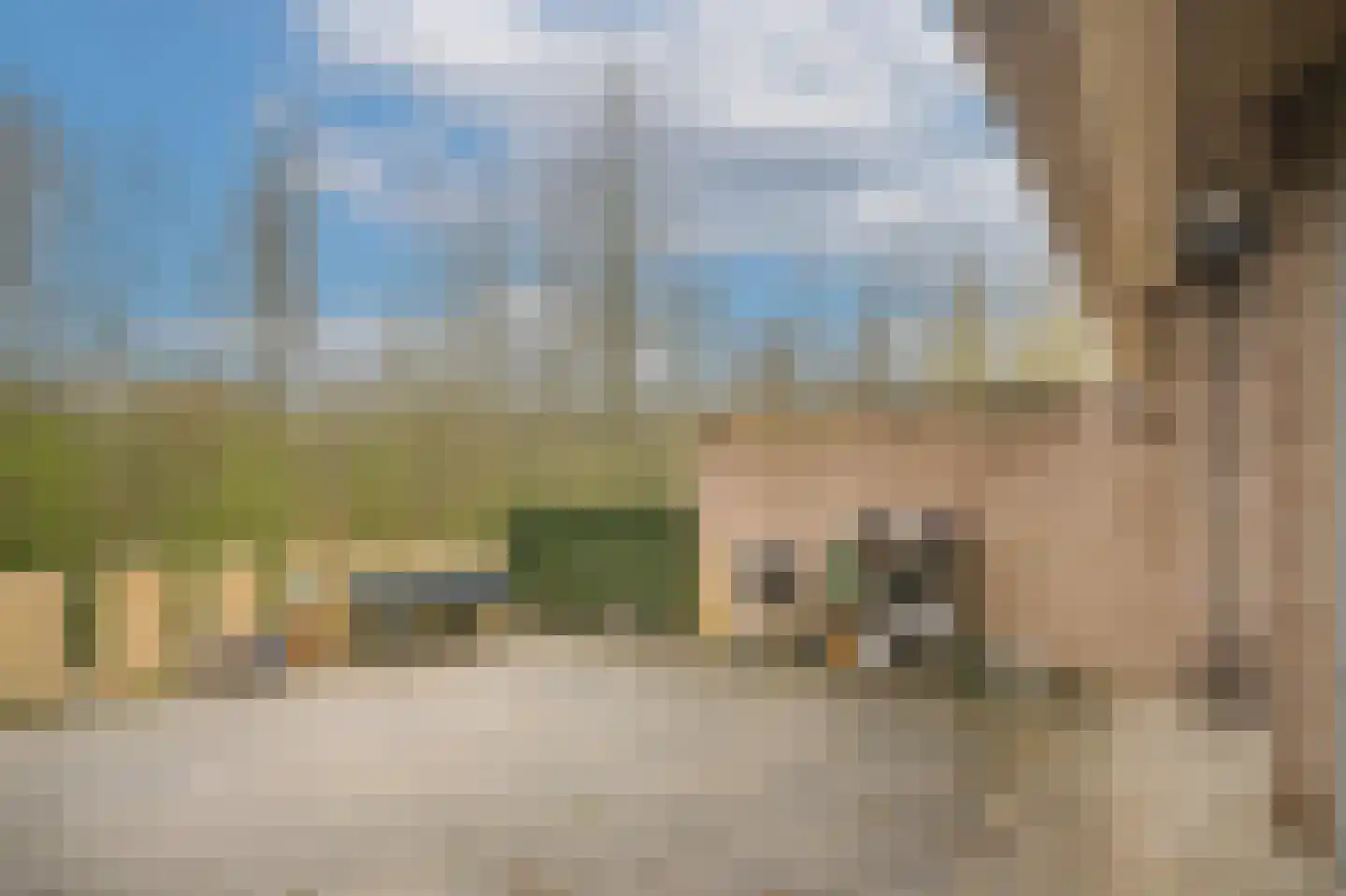 Beeckendael 58 's-Hertogenbosch thumbnail 19