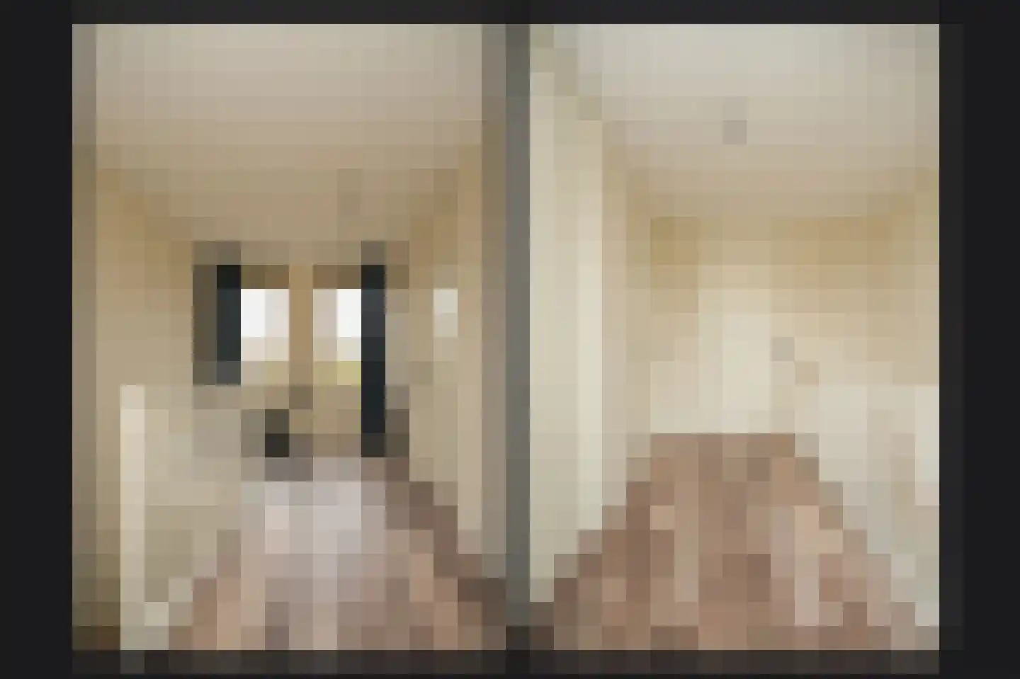 Beeckendael 58 's-Hertogenbosch thumbnail 36