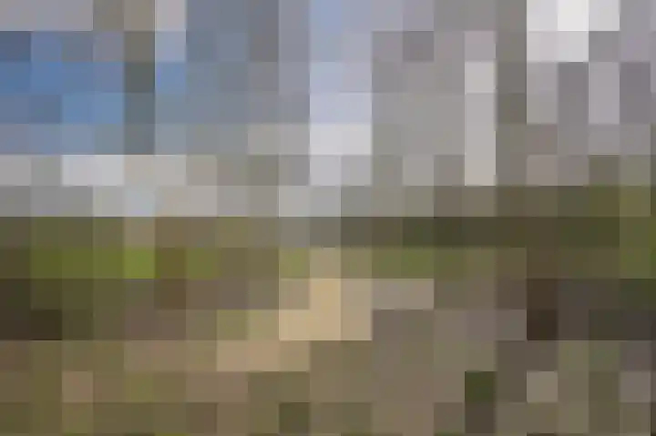 Beeckendael 58 's-Hertogenbosch thumbnail 54