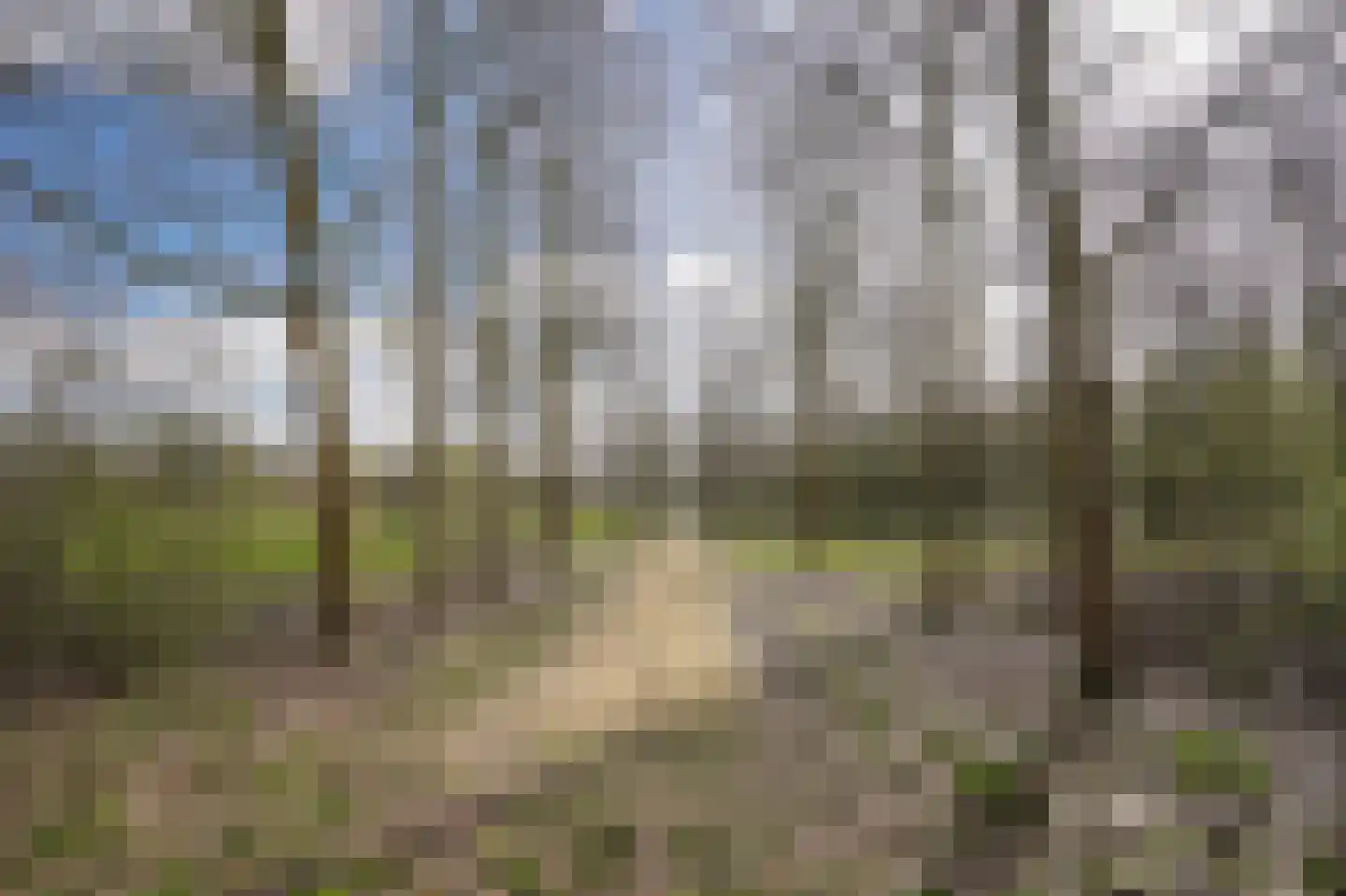 Beeckendael 58 's-Hertogenbosch thumbnail 54