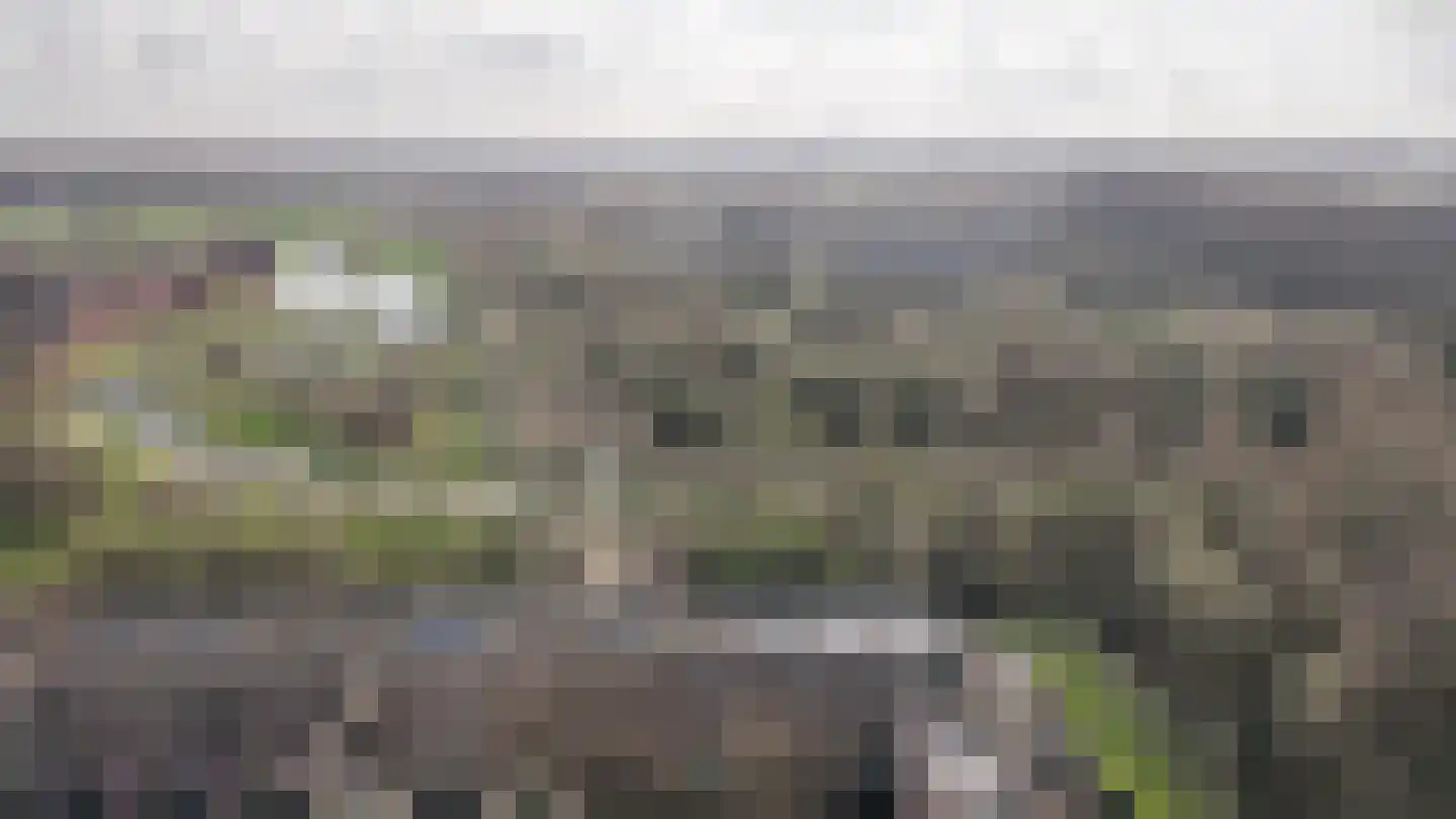 Beeckendael 58 's-Hertogenbosch thumbnail 63