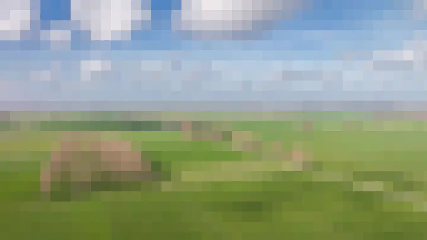 Beeckendael 58 's-Hertogenbosch thumbnail 68
