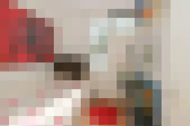 Beeckesteyn 31 Almelo thumbnail 17