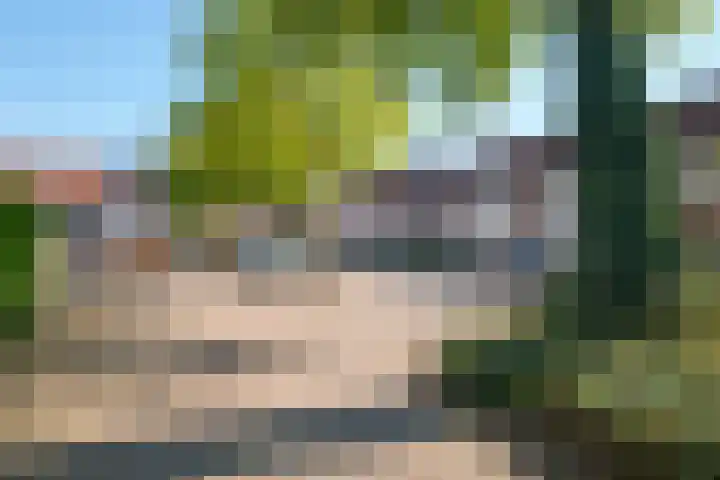 Beeckesteyn 31 Almelo thumbnail 23
