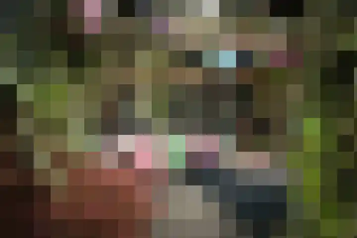 Beeckesteyn 31 Almelo thumbnail 4