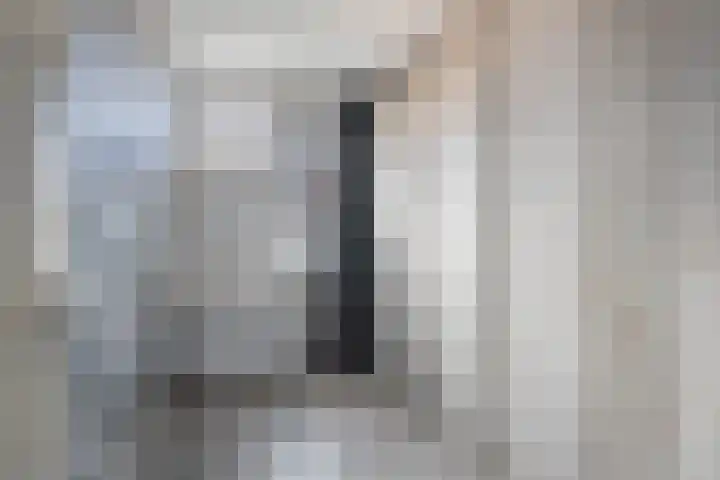 Beeckesteyn 59 Almelo thumbnail 20