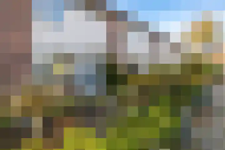 Beeckesteyn 59 Almelo thumbnail 27