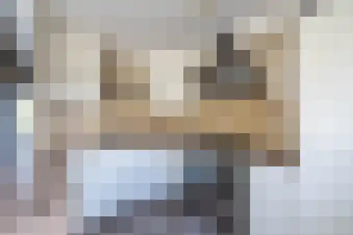 Beeckesteyn 59 Almelo foto 3