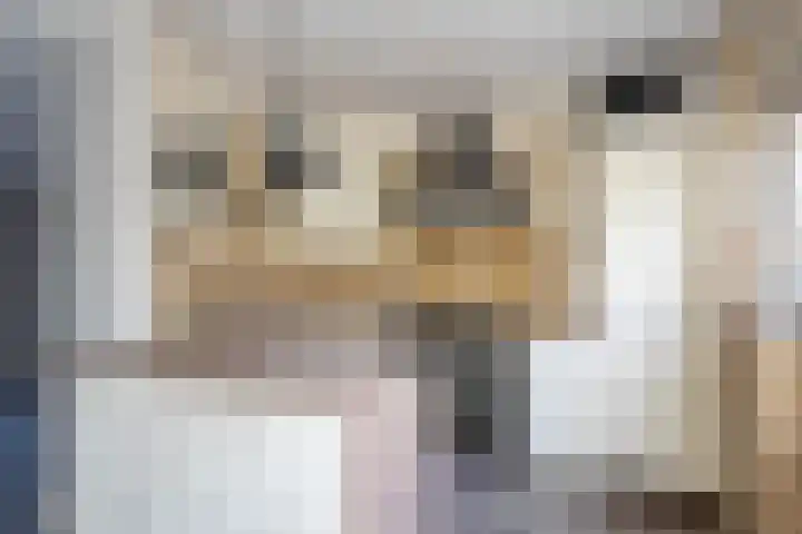 Beeckesteyn 59 Almelo thumbnail 9