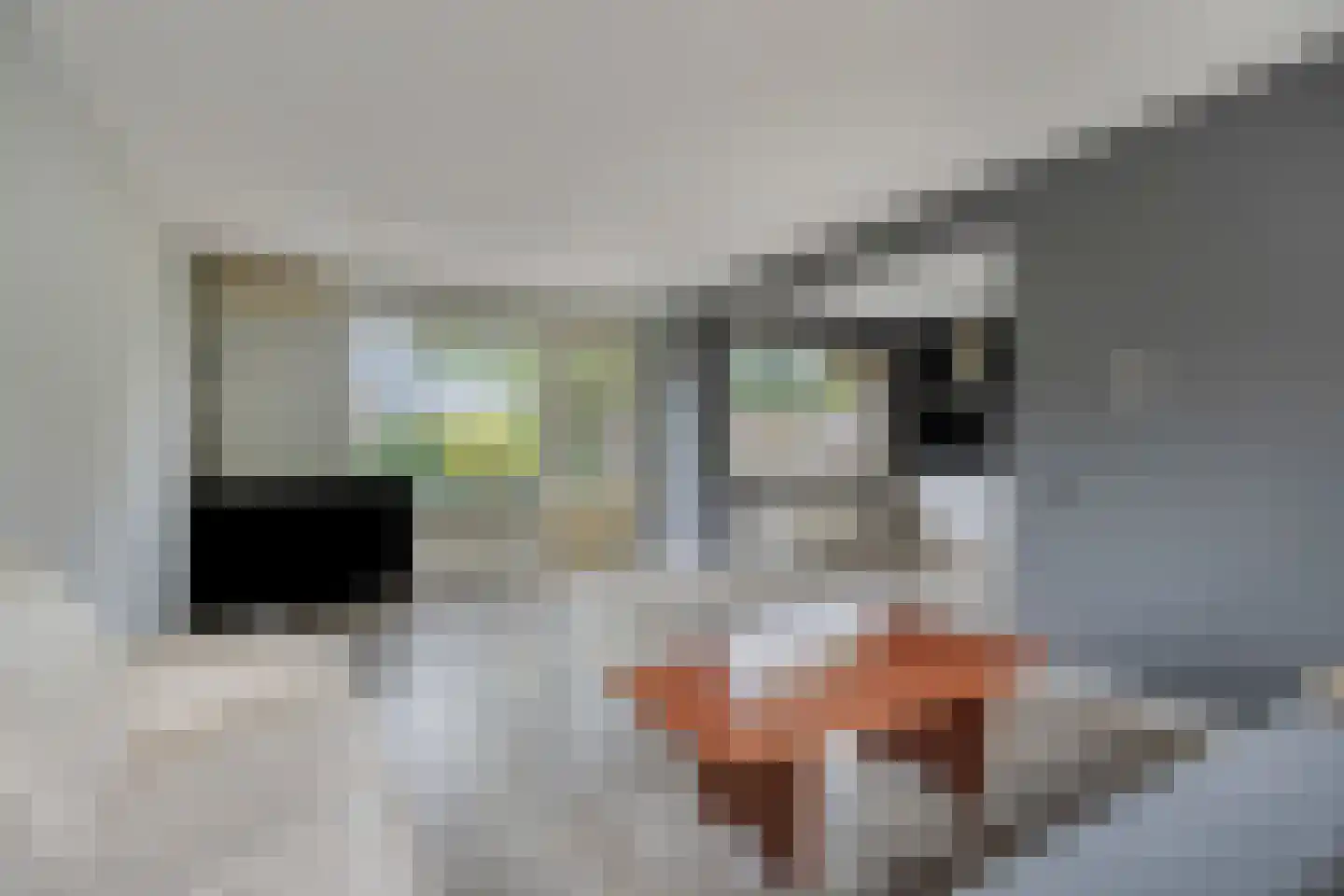 Beeckesteyn 62 Almelo thumbnail 10