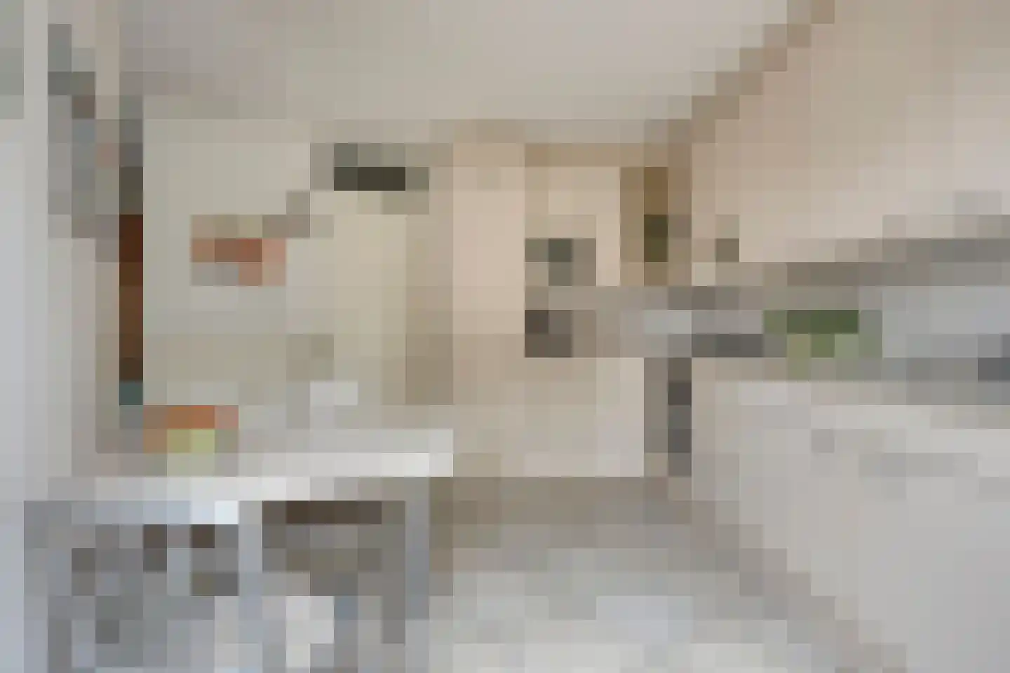 Beeckzanglaan 42 Beverwijk thumbnail 14
