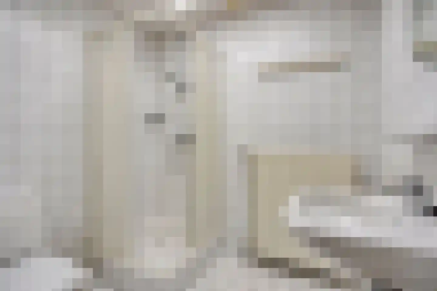 Beeckzanglaan 42 Beverwijk thumbnail 26