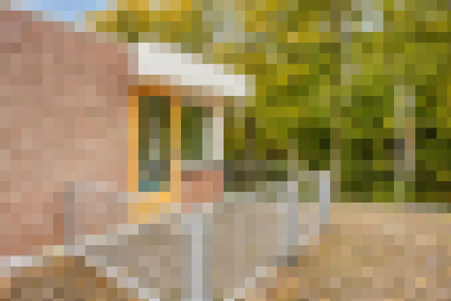 Beeckzanglaan 42 Beverwijk thumbnail 28