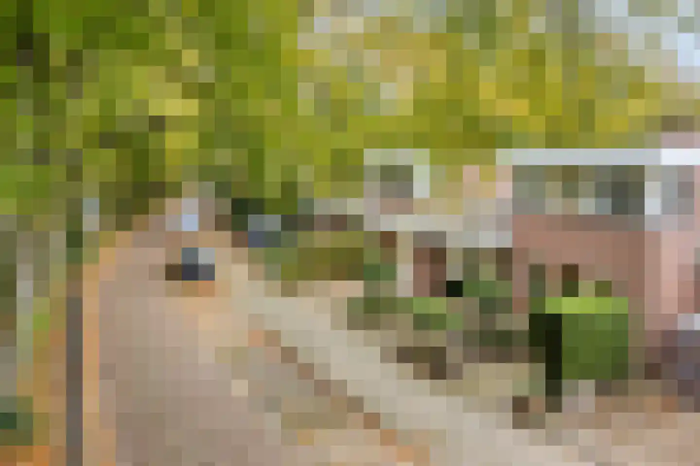 Beeckzanglaan 42 Beverwijk thumbnail 33