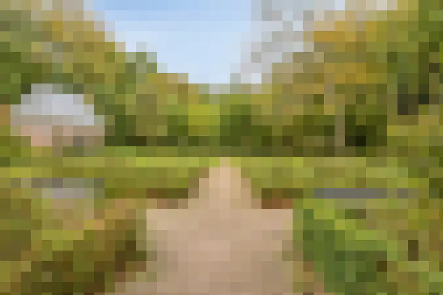 Beeckzanglaan 42 Beverwijk thumbnail 39