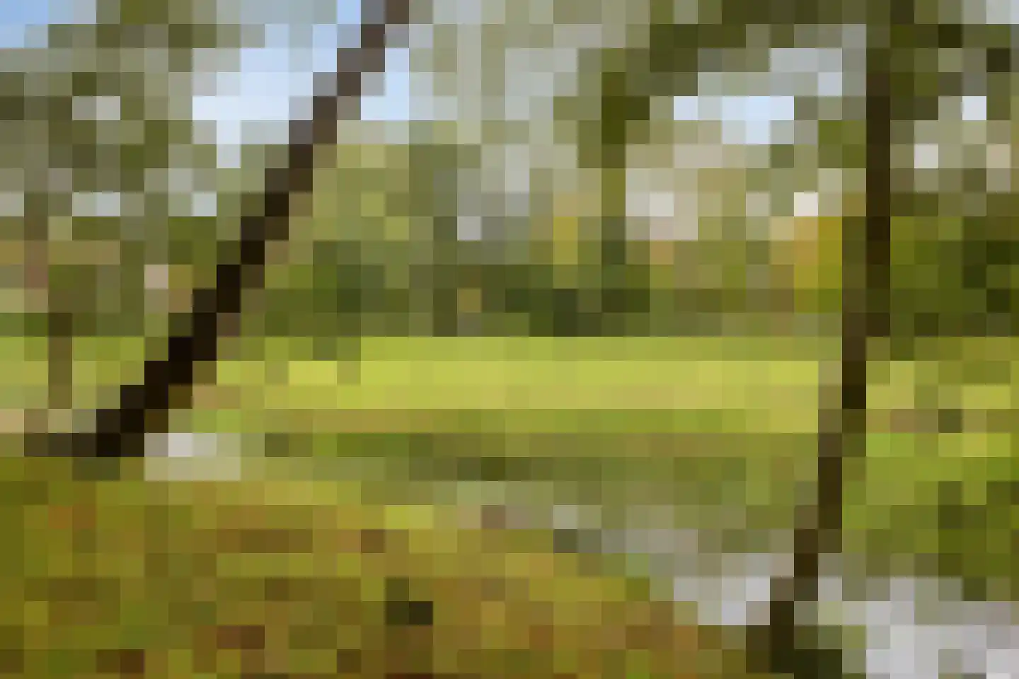 Beeckzanglaan 42 Beverwijk thumbnail 41