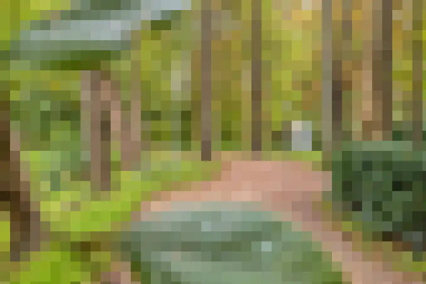 Beeckzanglaan 42 Beverwijk thumbnail 42